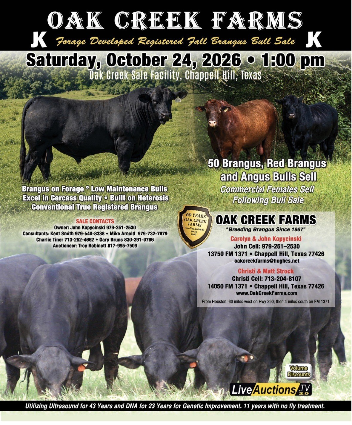 OCF Forage Developed Registered Bull Sale - Red Brangus Bulls, Brangus Bulls, Red Angus Bulls, Angus Bulls